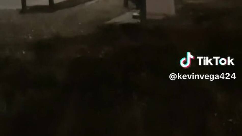 La maquina que se movía sola. Foto: TikTok/@kevinvega424