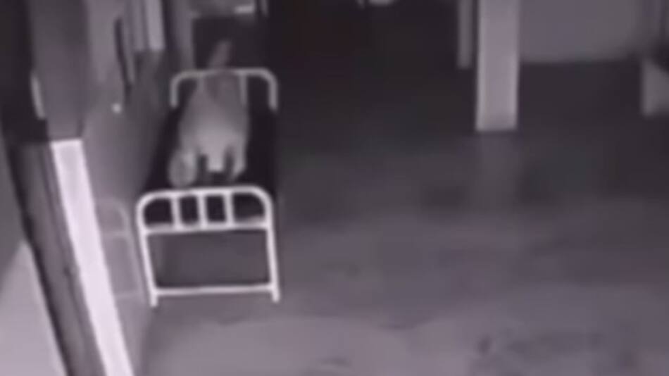 Espíritu abandona cuerpo