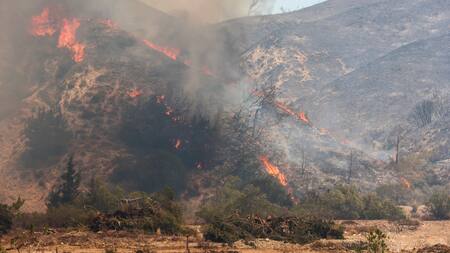 Incendios en Grecia. Foto: Reuters.