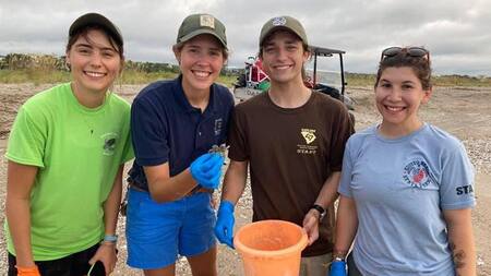 Hallan tortugas mutantes con dos cabezas en la playa