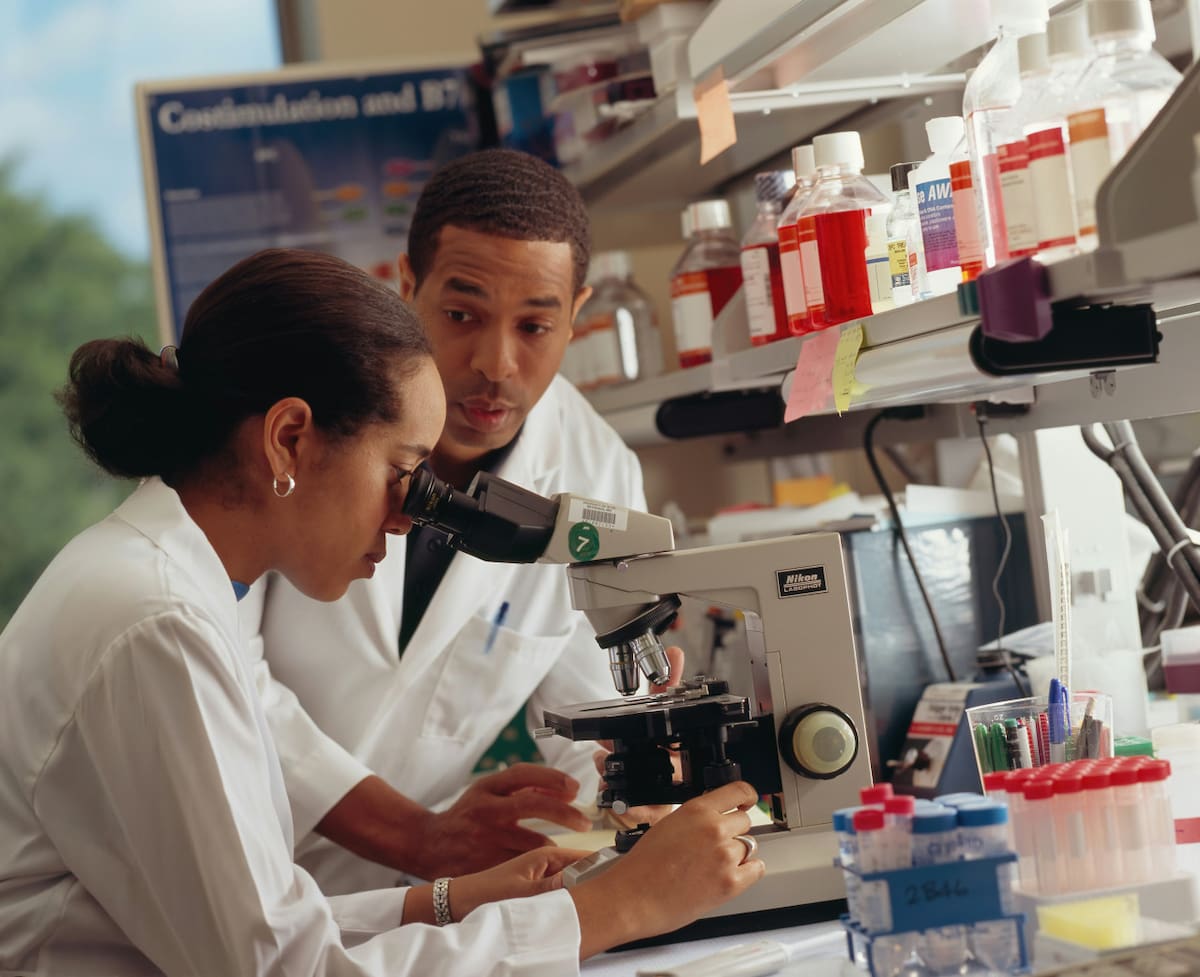 Investigación científica. Foto: Unsplash