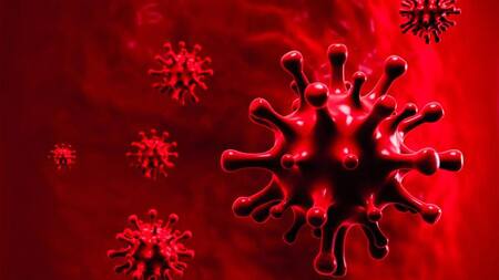 Coronavirus en el mundo, pandemia