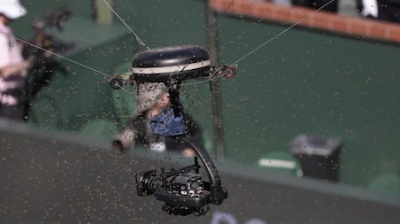 Invasión de abejas en Indian Wells. Foto: EFE.