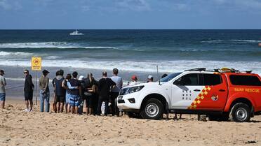 Un “tiburón gigante” mató a un surfista en plena playa de Australia