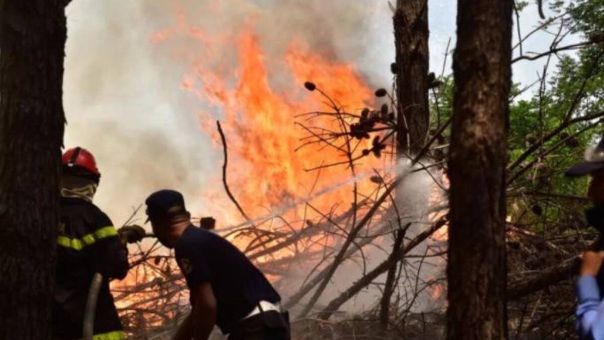 Incendios en Corrientes