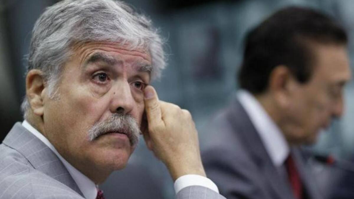 De Vido - Política