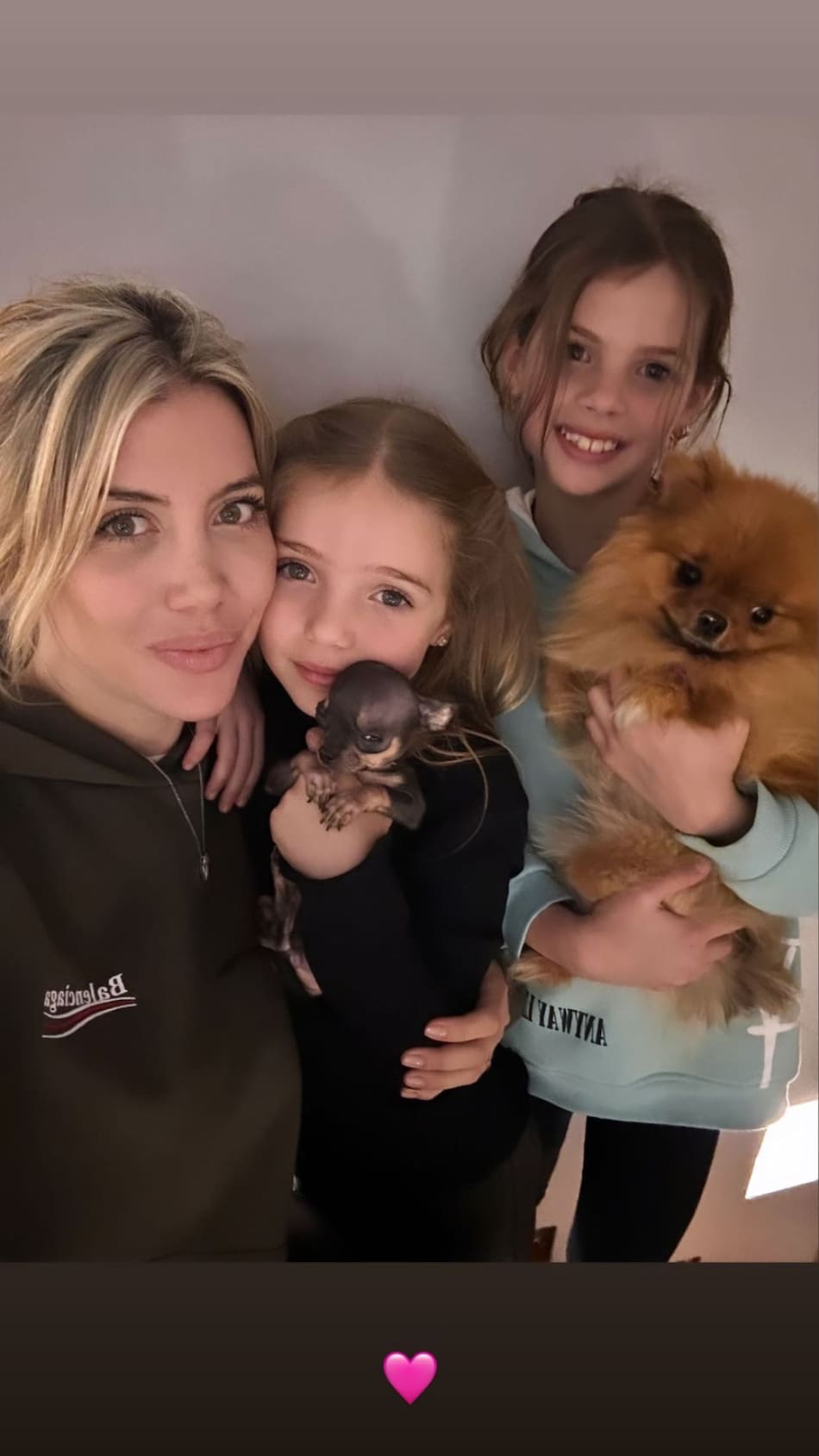 Wanda Nara se mostró acompañada de sus hijas y sus mascotas. Foto: Instagram @wanda_nara.