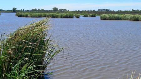 Ranchos, pueblo. Foto: Instagram/escapadasbuenosaires