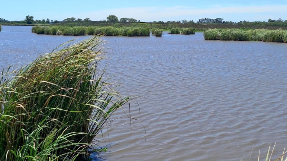 Ranchos, pueblo. Foto: Instagram/escapadasbuenosaires