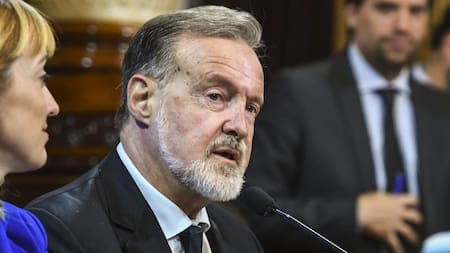 Rafael Bielsa, Gobierno, NA