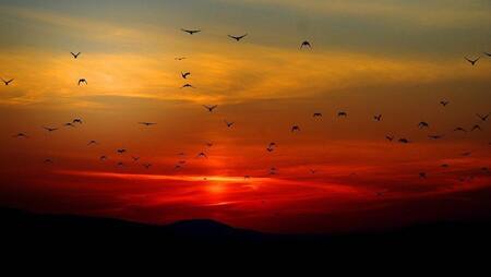 Solsticio de invierno, fenómeno natural