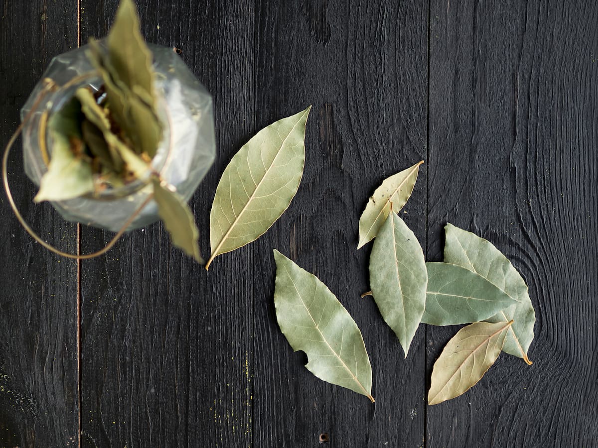 Cómo usar el laurel para perfumar la casa: preparación y beneficios