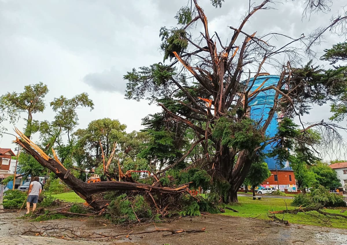 Temporal de viento y granizo en Miramar. Foto: NA.
