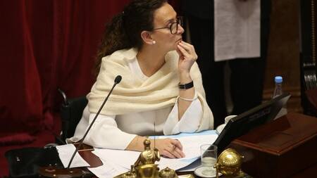 Michetti - Senado - debate por el aborto