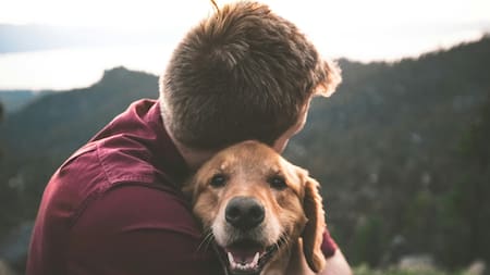 Perros, mascotas, dueños. Foto: Unsplash
