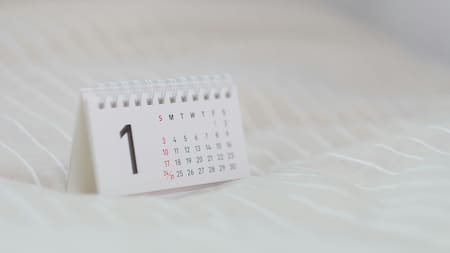 Cuántos feriados quedan en el año.