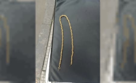 Un menor de edad fue detenido 71 veces en dos años por delitos de robos. Foto: Policía de la Ciudad.