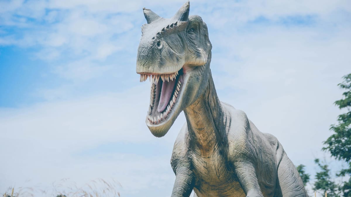 Gran hallazgo en Río Negro: descubrieron restos fósiles de un dinosaurio carnívoro que existió 90 millones de años atrás