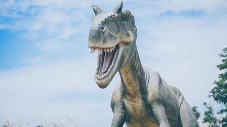 Dinosaurio. Foto: Unsplash