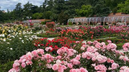 Es uno de los lugares más emblemáticos de la capital argentina