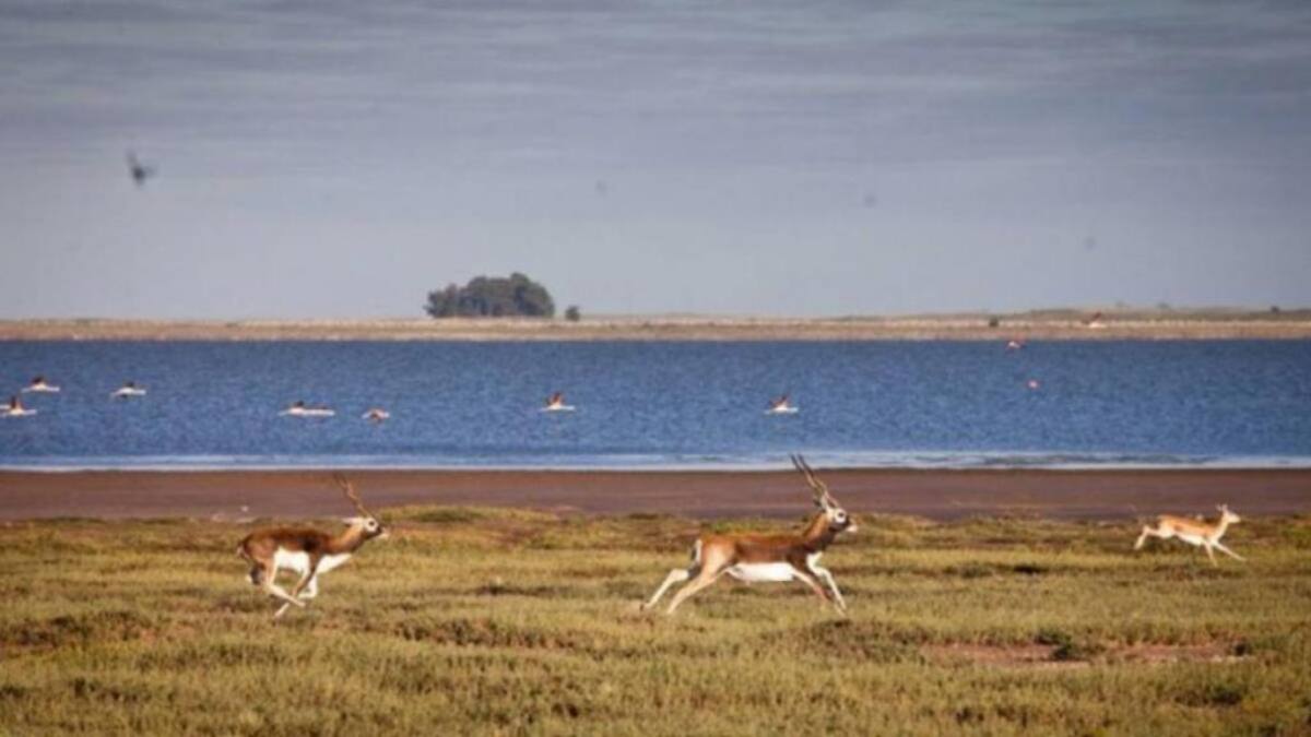 Isla Sistina