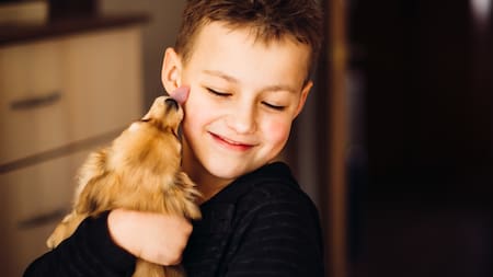 5 razones para tener un perro