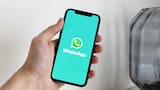 WhatsApp se viste de flores: cómo activar el “modo primavera” y llenar de colores la aplicación