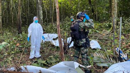 Búsqueda de niños desaparecidos en Colombia. Foto: EFE.