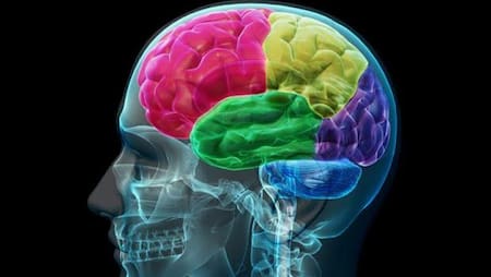 Enfermedad neurológica, cerebro, Parkinson, accidente cerebrovascular (ACV), demencia