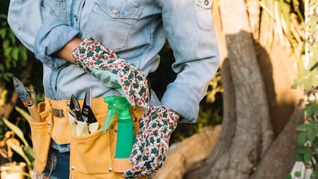 Cómo funciona la botella cortada boca abajo en el jardín.