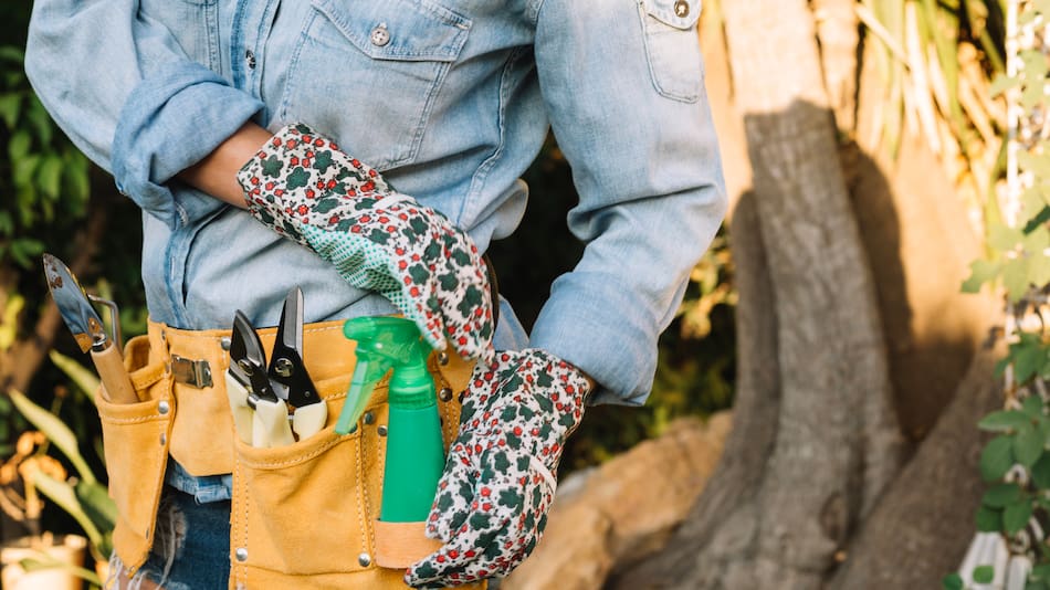 Cómo funciona la botella cortada boca abajo en el jardín.