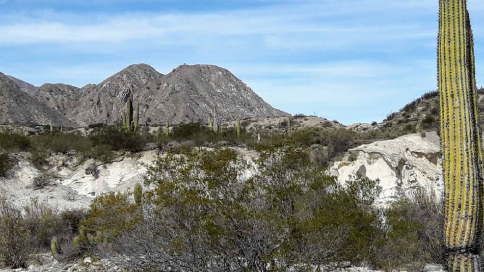 Conecta el Valle Central de Catamarca con la región de Andalgalá a través de la Ruta Nacional 60