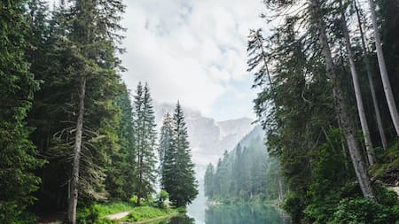 Muralla verde en China. Foto: archivo Unsplash
