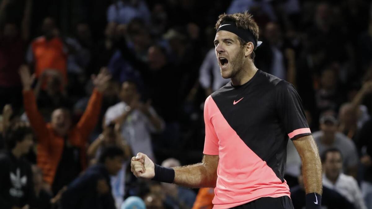 Victoria de Juan Martín Del Potro (Reuters)