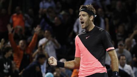 Victoria de Juan Martín Del Potro (Reuters)