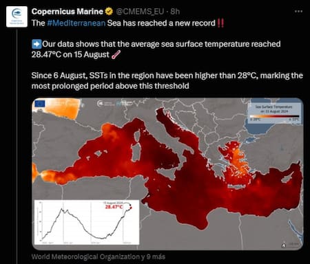 El informe de Copernicus aleta sobre las altas temperaturas del Mediterráneo. Fuente C