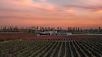 Líderes de la industria vitivinícola: siete bodegas argentinas fueron elegidas entre las 50 mejores del mundo