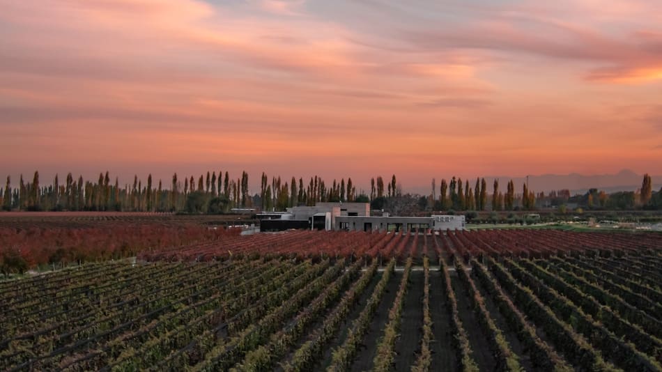 La bodega Durigutti Family Winemakers.