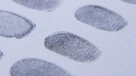 huella dactilar. Fuente: Pexels