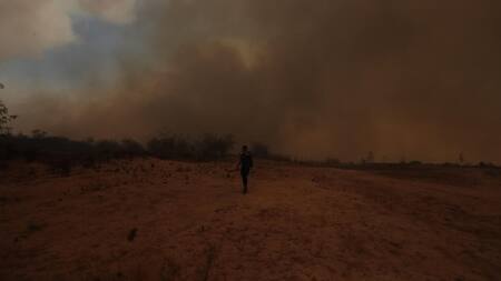 Detuvieron en Viña del Mar a dos sospechosos de causar los incendios forestales en Chile