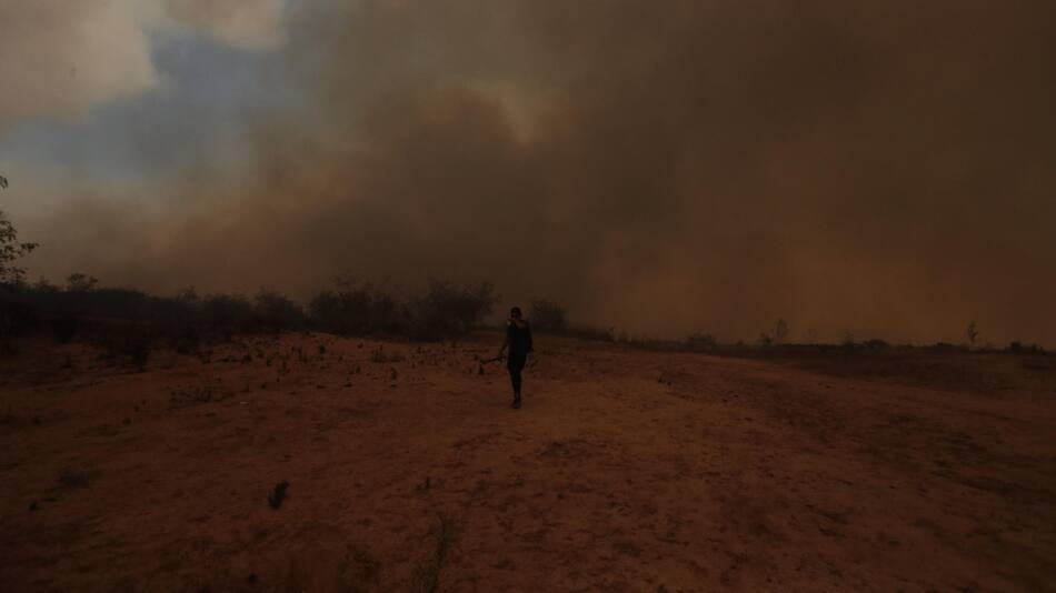 Incendios en Chile. Foto: Reuters.