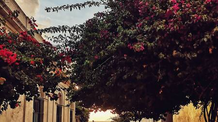 Rincones imperdibles de Uruguay. Foto: Unsplash.