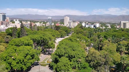 Impresionante: la provincia de Argentina que construyó un bosque urbano en pleno desierto y fue destacada mundialmente