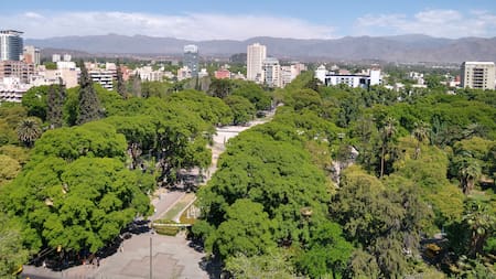 La provincia argentina que fue reconocida entre las “Ciudades Verdes” del mundo: un impresionante bosque urbano en pleno desierto