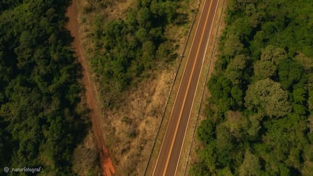 Ecoducto de la Ruta Nacional 101.