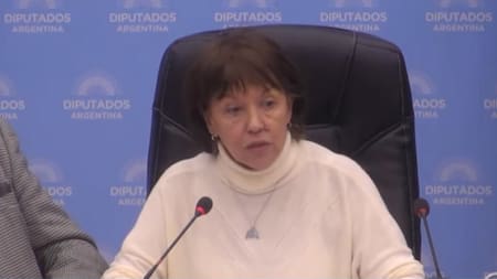 Diputados dictaminó la creación de tres universidades públicas