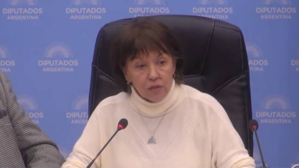 Diputada Blacan Osuna, Frente de Todos. Foto: DiputadosTV