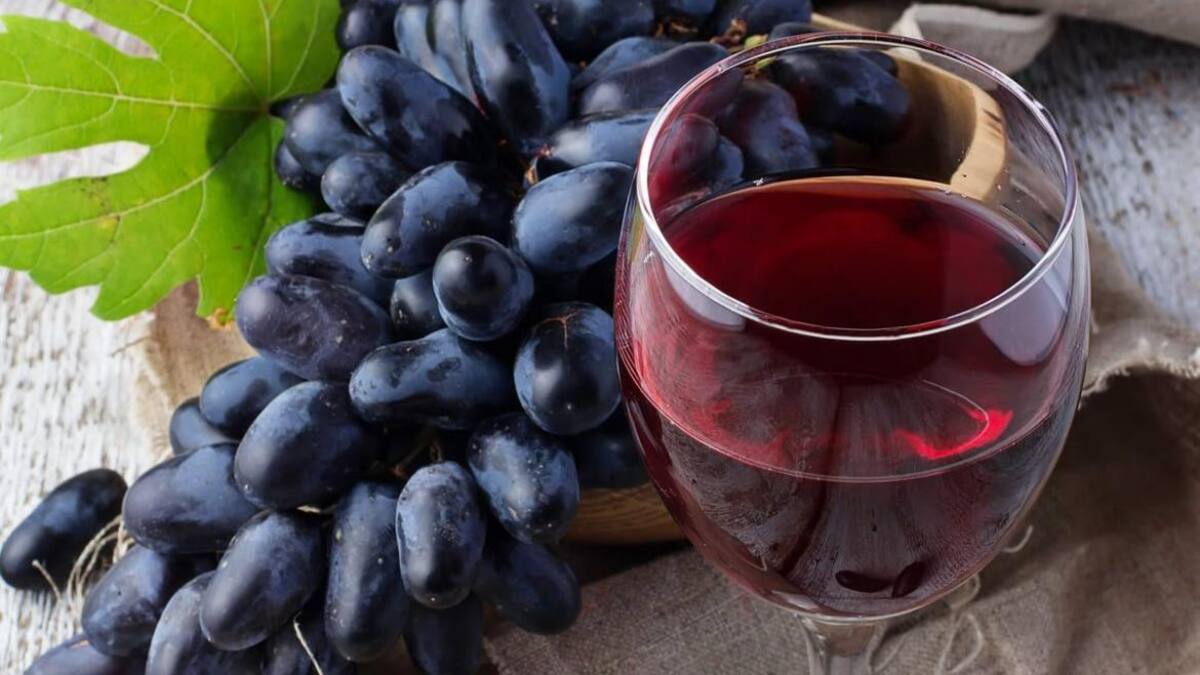 Vino tinto