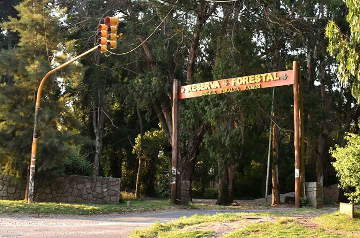 Bosque Peralta Ramos, Mar del Plata. Foto mardelplata.com
