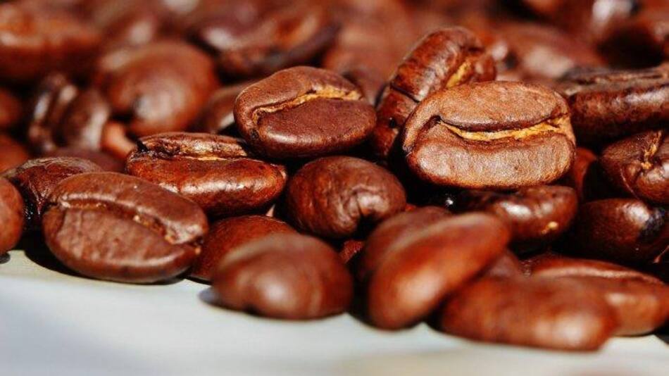 Café geisha